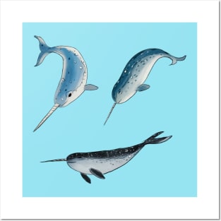 narwhal Posters and Art